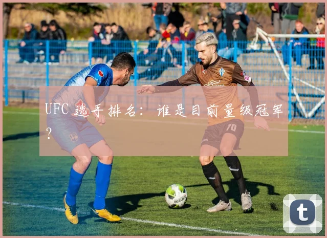 UFC 选手排名:谁是目前量级冠军?