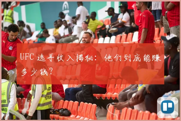 UFC 选手收入揭秘:他们到底能赚多少钱?